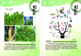 生物知识展板图片学校科学