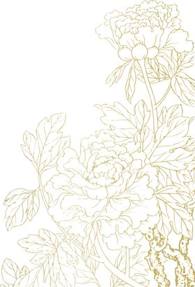 花线稿