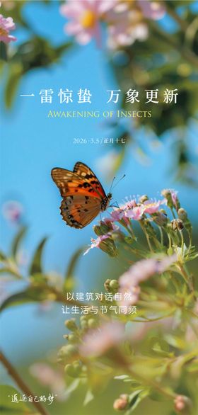 惊蛰简约清新海报