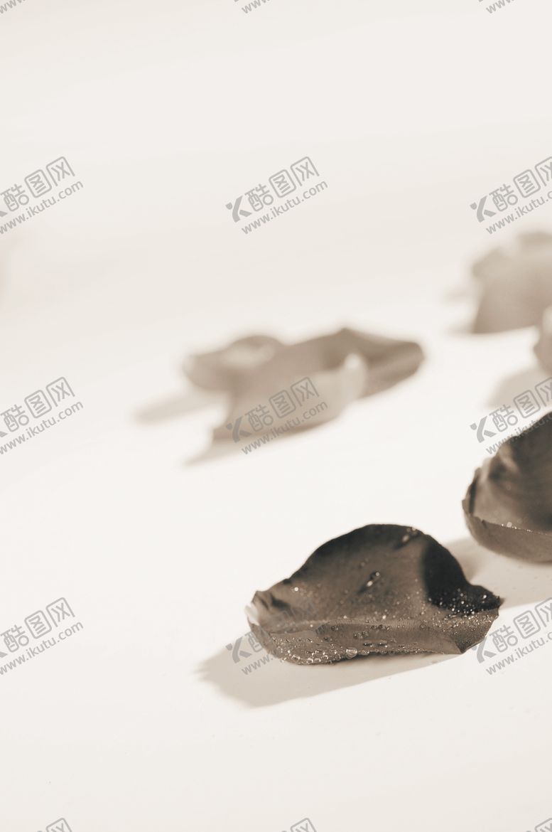 编号：55361705171628397883【酷图网】源文件下载-花瓣
