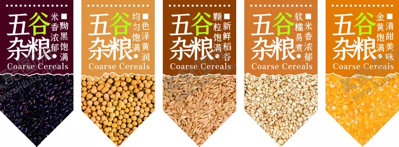 编号：41814202041858266270【酷图网】源文件下载-杂粮区吊旗