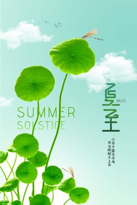 夏至节气传统活动宣传海报素材