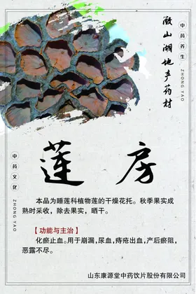 微山湖地产药材莲房