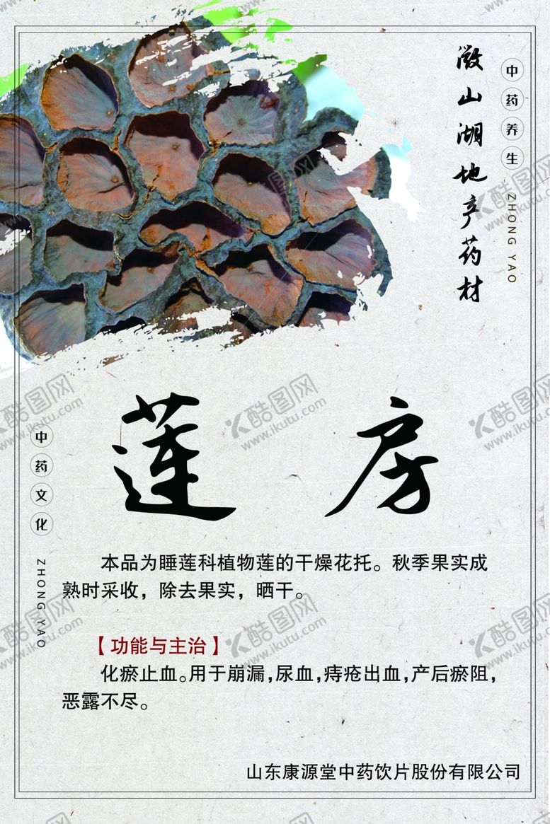 编号：37024309250039244778【酷图网】源文件下载-微山湖地产药材莲房