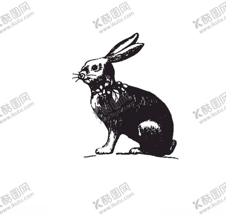 编号：51742505080246442558【酷图网】源文件下载-兔子简笔画矢量素材