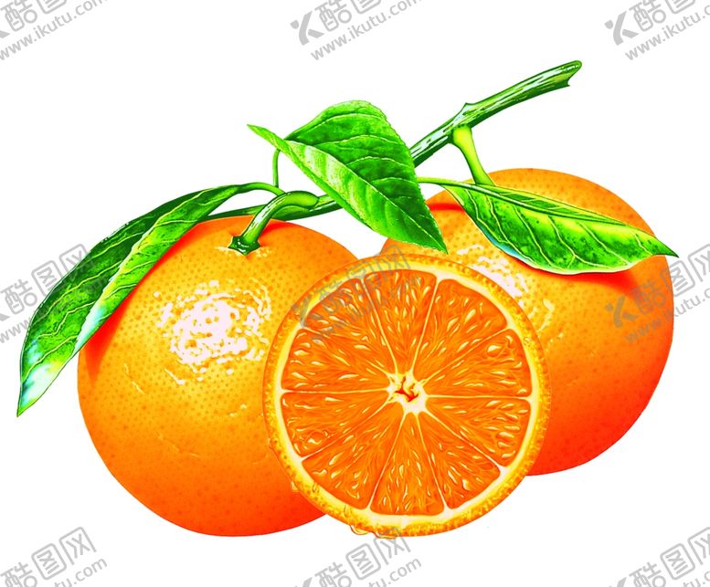 编号：82014206180402032688【酷图网】源文件下载-橙子水果设计素材食品