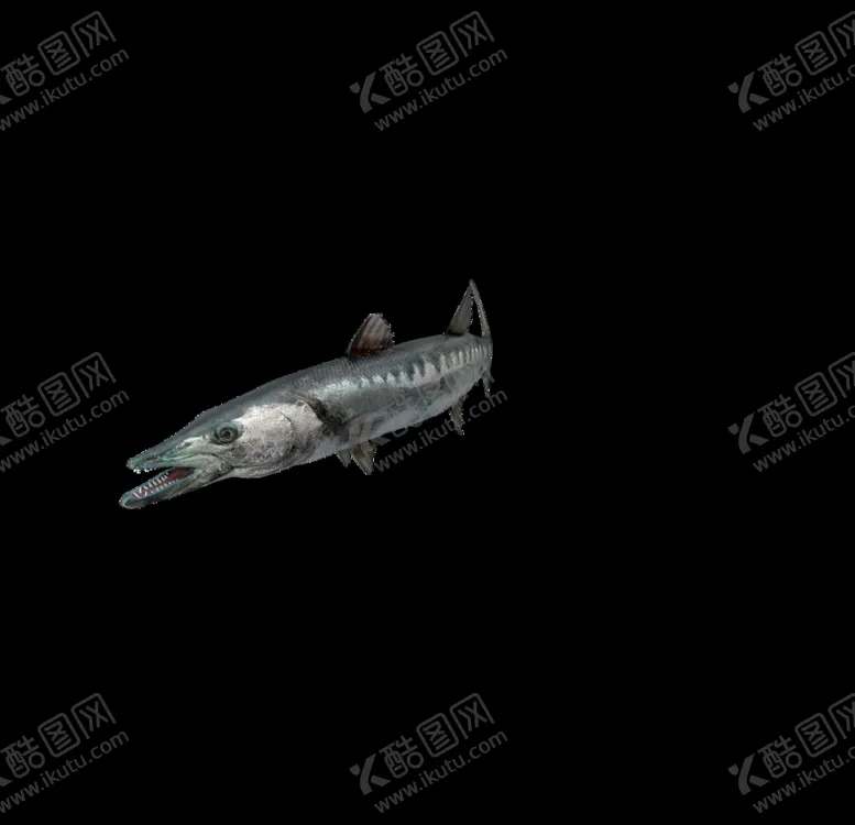 编号：87139106301059553544【酷图网】源文件下载-海洋生物