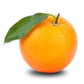 橙子