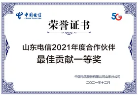 荣誉证书电信奖状获奖