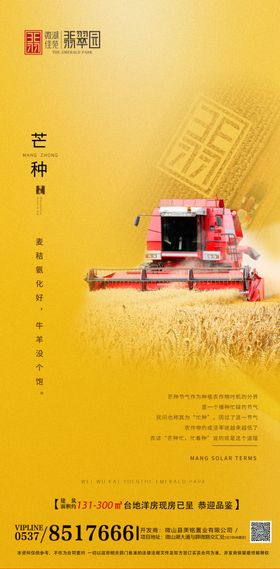 地产芒种海报