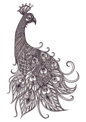 黑白线描酒旗