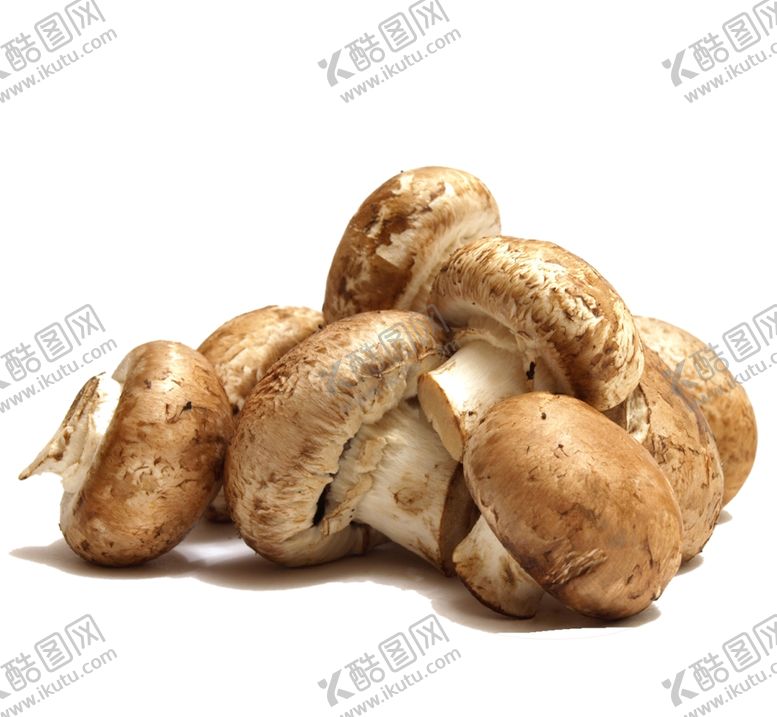 编号：29665810112039074581【酷图网】源文件下载-蘑菇素材