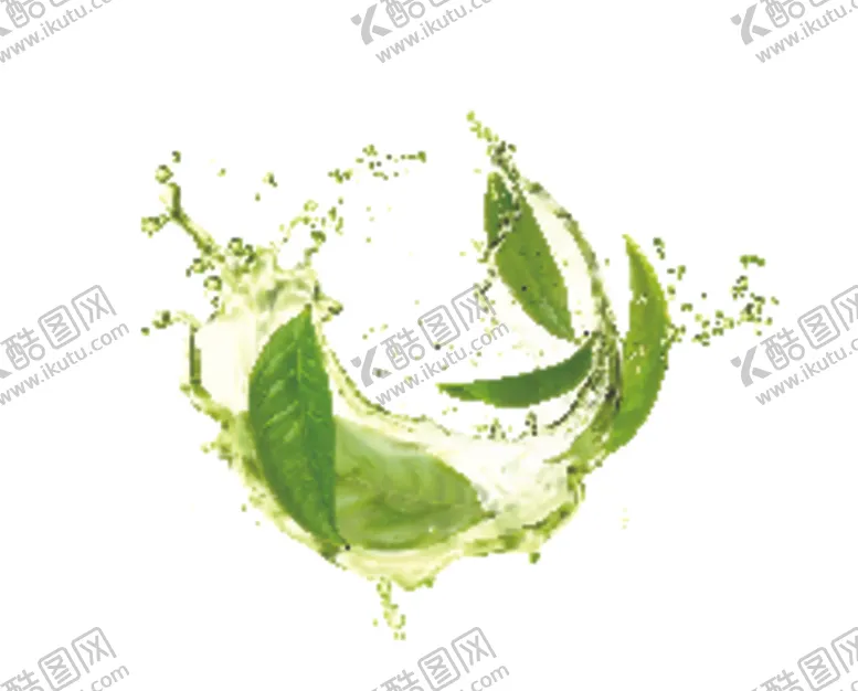 编号：58300502200032127291【酷图网】源文件下载-绿茶绿叶茶叶液体