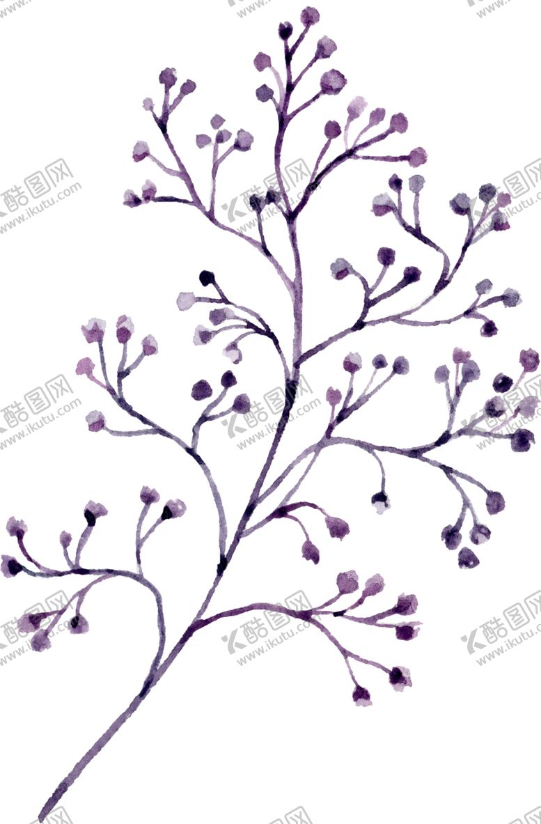 编号：98010809160609065043【酷图网】源文件下载-水彩绘画花朵树枝装饰