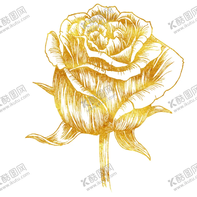 编号：32308004170616221069【酷图网】源文件下载-金色花朵