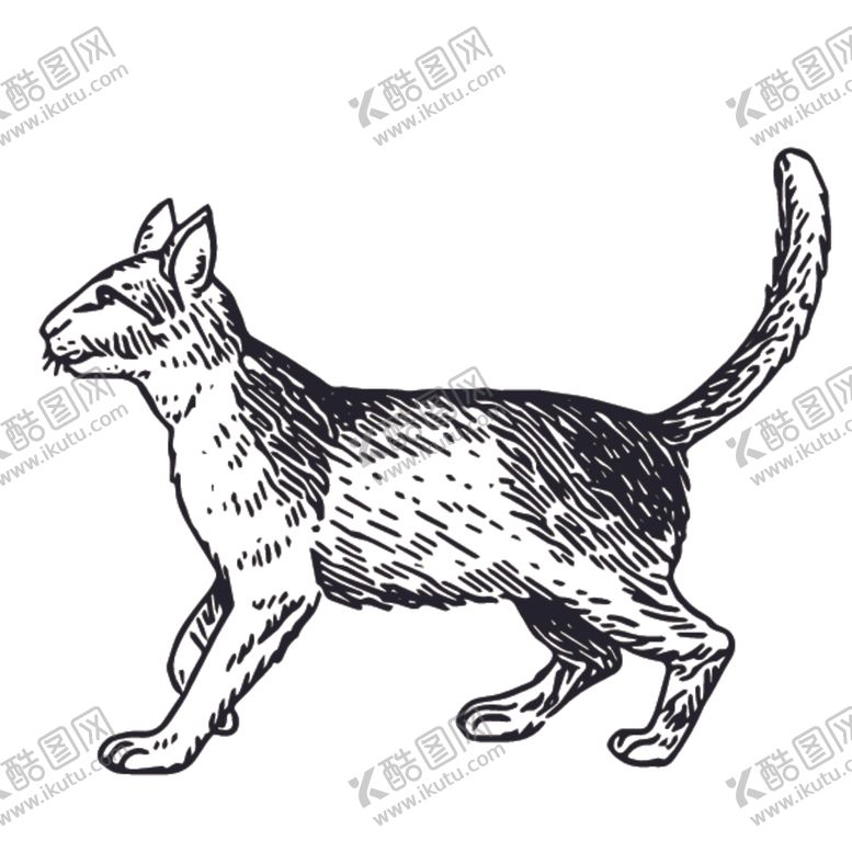 编号：78815807121331187235【酷图网】源文件下载-家禽动物线稿绘画图案
