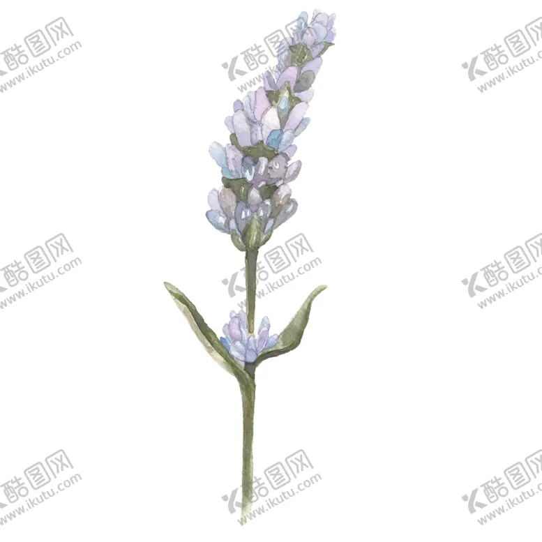编号：58852401271306011918【酷图网】源文件下载-花