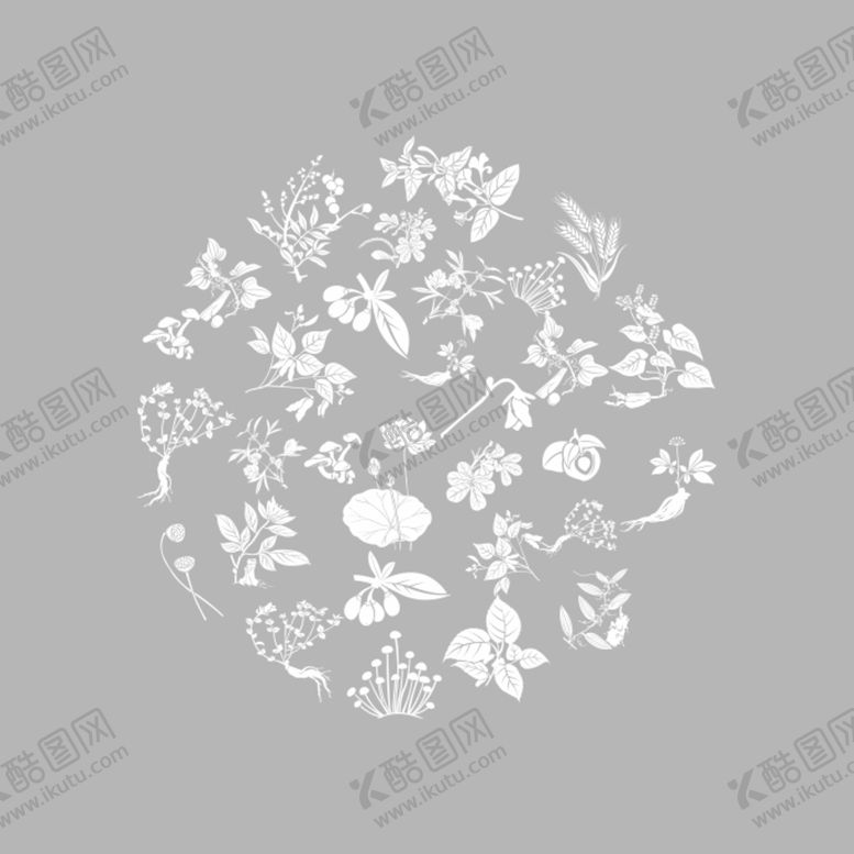 编号：93874209212321184520【酷图网】源文件下载-草药