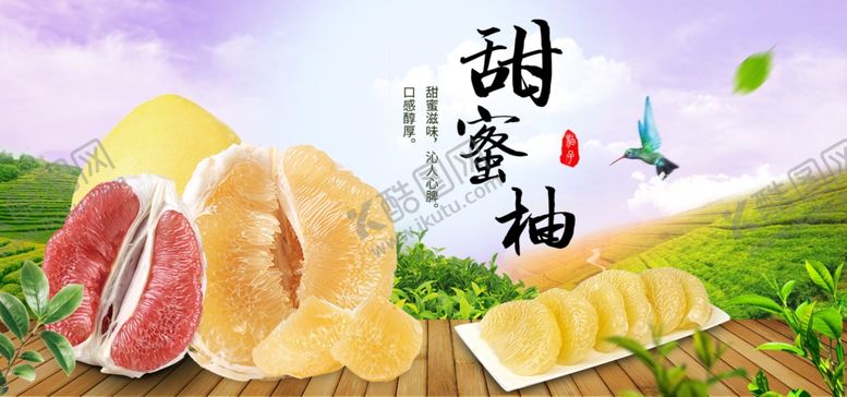 编号：36350601171922072143【酷图网】源文件下载-新阳光蜜柚