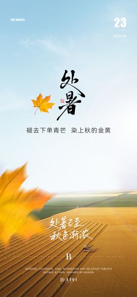 招商微商朋友圈海报处暑海报