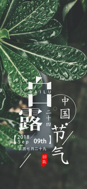 白露海报夏夜节气高大上