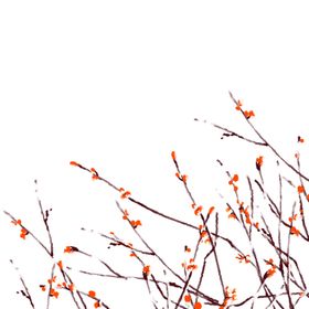 梅花装饰树枝元素