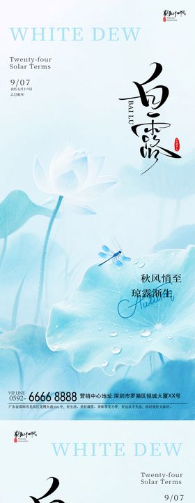 白露蜻蜓海报