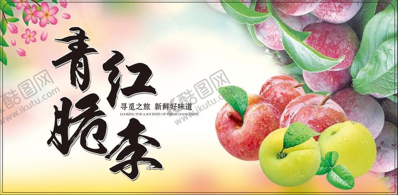 编号：35206810011237472319【酷图网】源文件下载-青红脆李