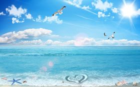 海边背景墙