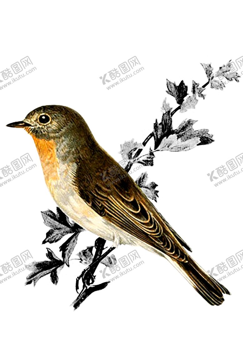 编号：61888209191025553469【酷图网】源文件下载-背景墙装饰画