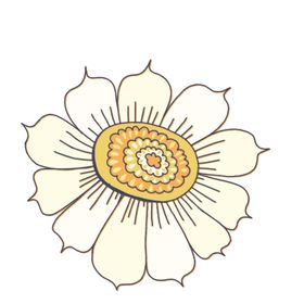 花朵蝴蝶卡通图案