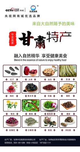 甘肃特产海报