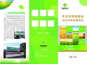 绿色农业宣传折页供销社三折页