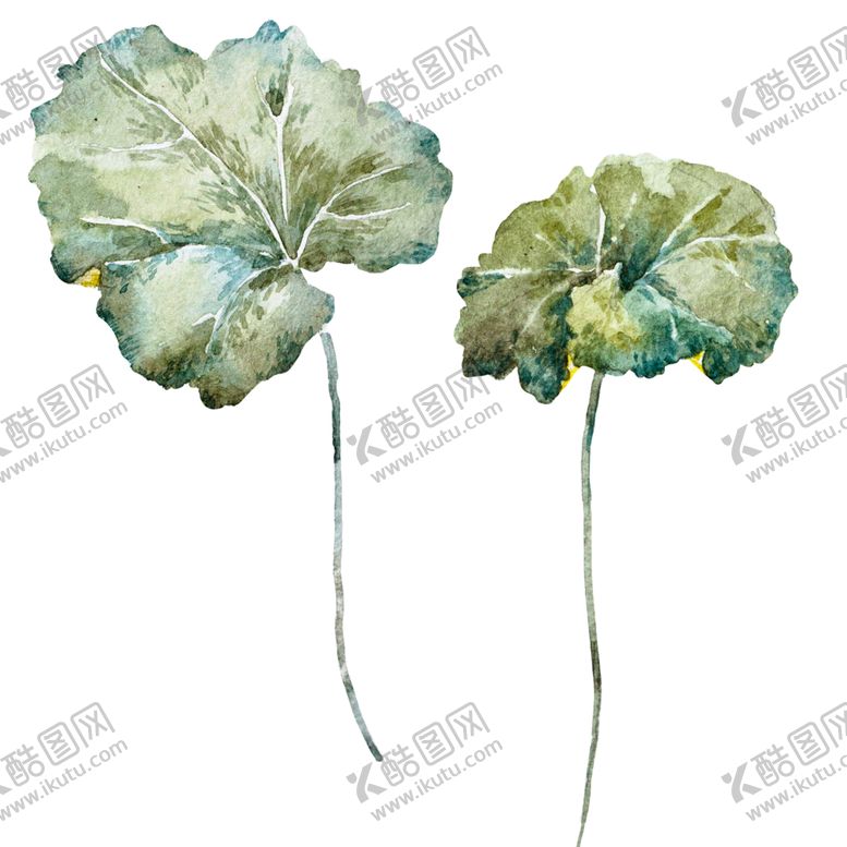 编号：64963407011214445413【酷图网】源文件下载-水彩植物
