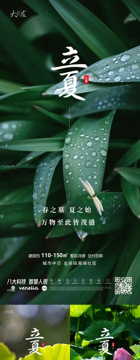 立夏节气海报