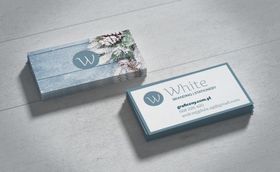 vi模版效果图样机
