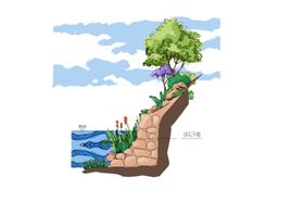 手绘彩色立面树