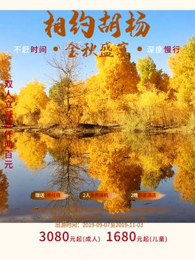 胡杨林海报