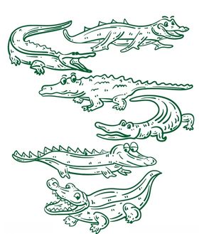线描鳄鱼装饰图案