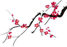 梅花素材