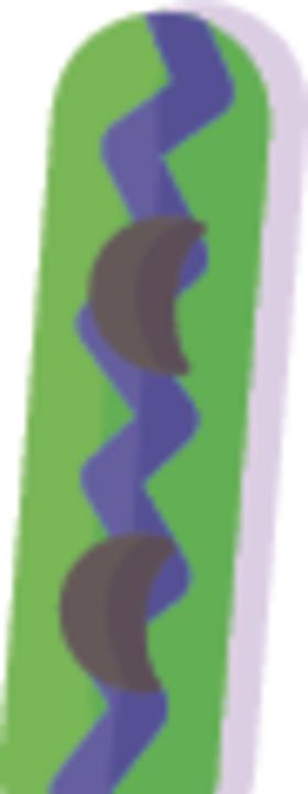 滑板