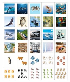 多样动物海洋生物图片集