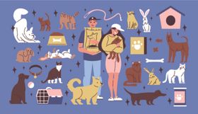 人与宠物的温馨日常画面