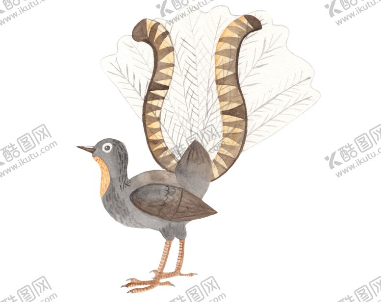 编号：59034009200116568962【酷图网】源文件下载-澳大利亚水彩动物