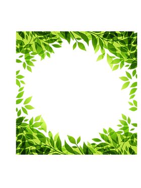 花边背景欧式相框框韩国高档