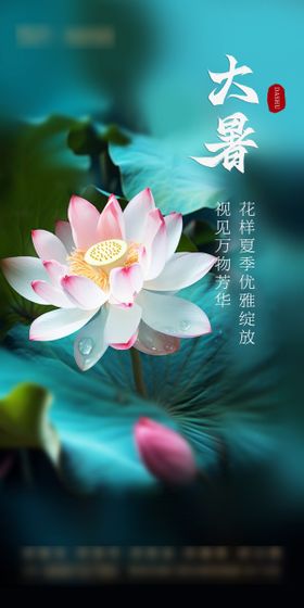 大暑节气海报荷叶简约荷花