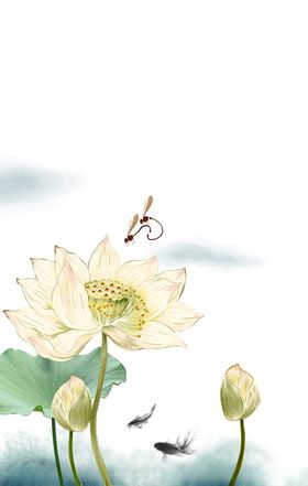荷花背景