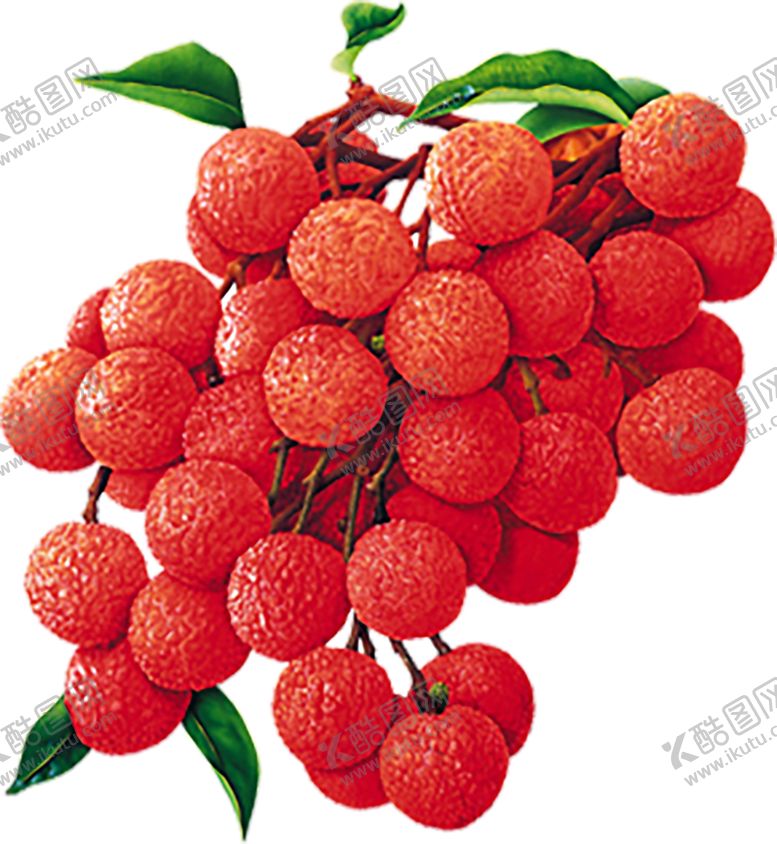 编号：90504811011211017273【酷图网】源文件下载-水果