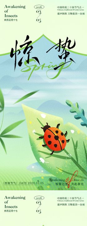 惊蛰春天春雨插画海报