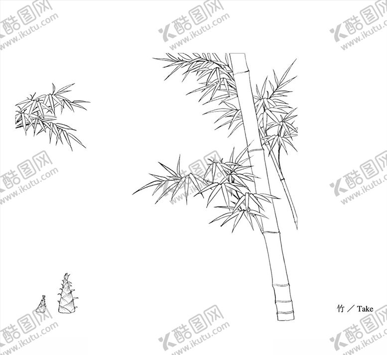 编号：24994610250416076901【酷图网】源文件下载-线描竹子